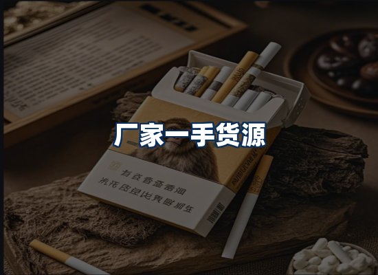 专业团队办公环境